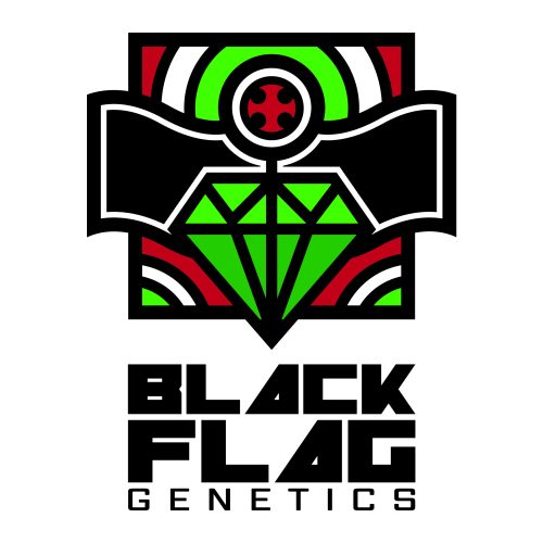 BLACK FLAG LOGO 2019_FULL COL ON WHT