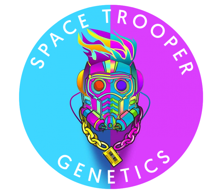 Spcae Space Trooper Logo Logo